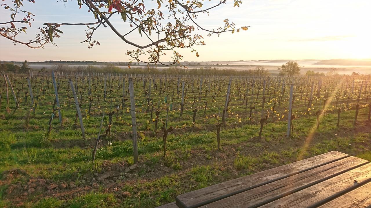 Weingut Familie Bauer Hotel Grossriedenthal Luaran gambar