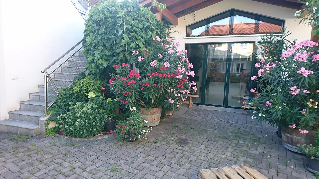 Weingut Familie Bauer Hotel Grossriedenthal Luaran gambar